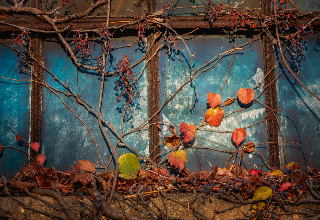 Asigned Subject In Class M By Cindy ONeil For Autumn Framed NOV-2018.jpg